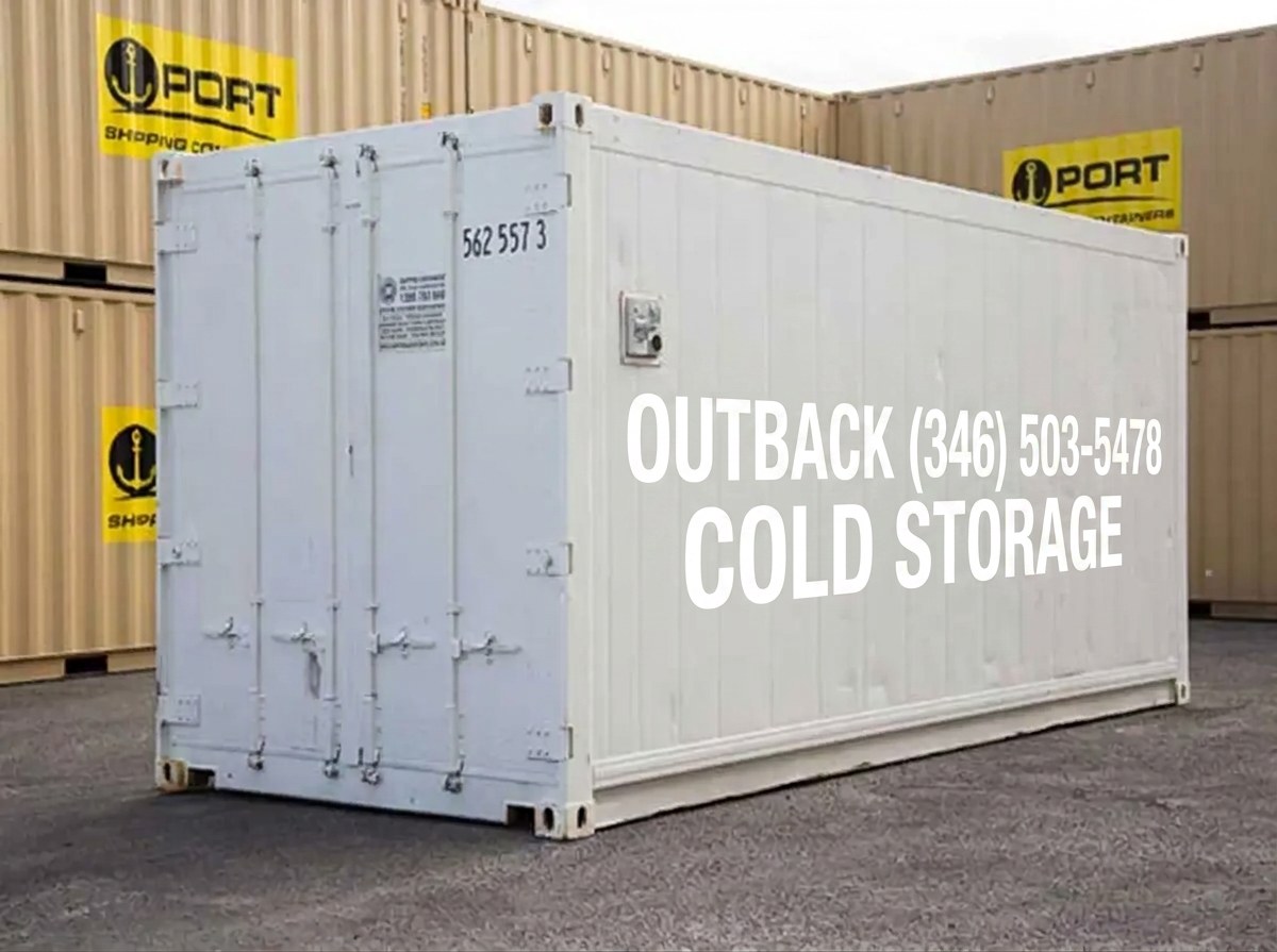 20 FT Refrigerated Containers — 20ft refrigerated container (image 1 of 6)